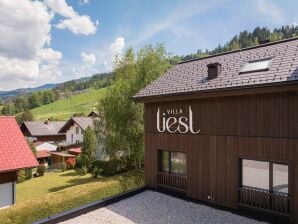 Apartment Premium Ferienwohnung mit Balkon & Sauna - Haus im Ennstal - image1
