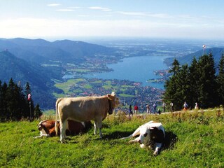 Apartment Schönau am Königssee Umgebung 20