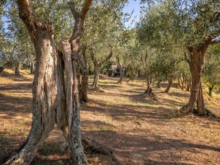 Holiday house Cascina Outdoor Recording 12