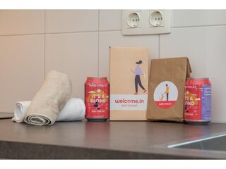 Vakantiehuis Groot Valkenisse Kenmerken 12