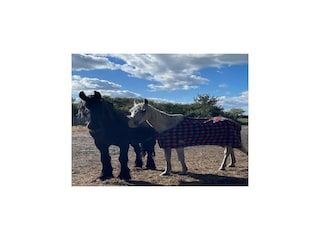 Holiday house Lubin  31