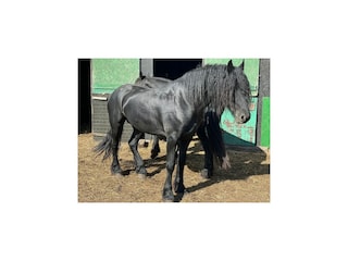 Maison de vacances Lubin  30