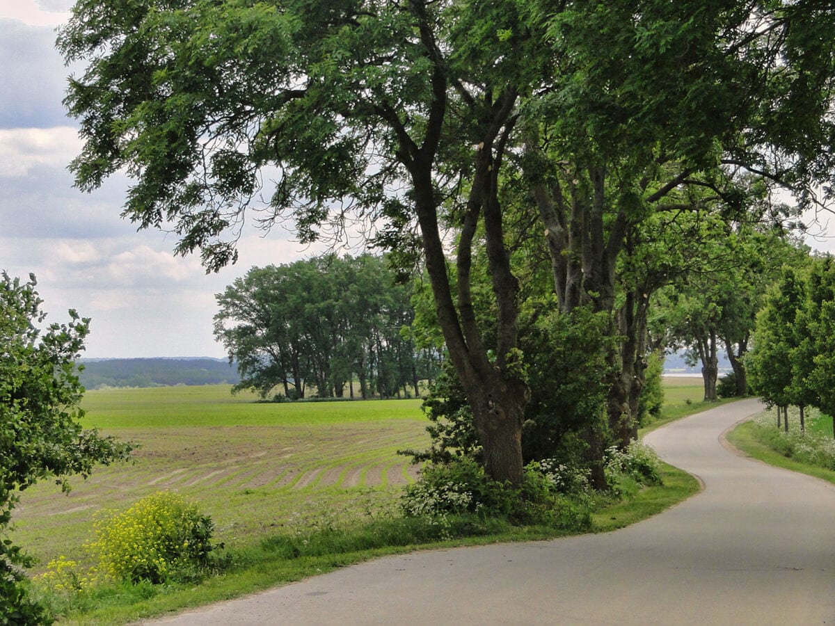 Straße zum Haus