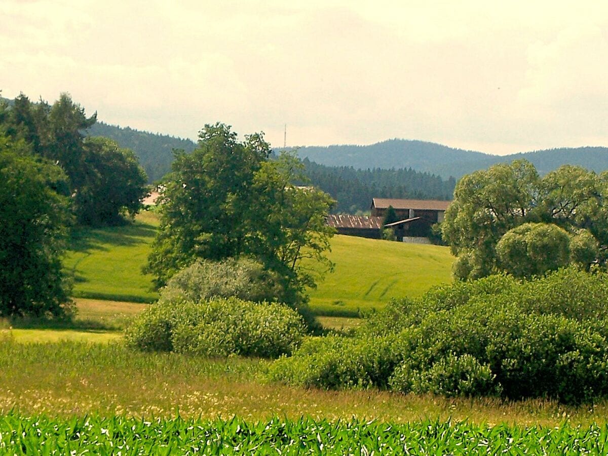 Waldstein, HausBerg