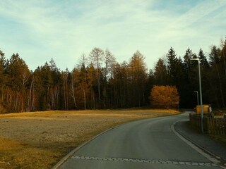 der Wald ist ganz nah