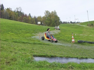 DevilCars