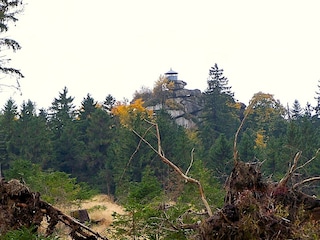 Waldstein-Schüssel