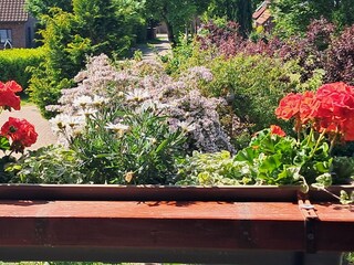 Blick vom Balkon in den Garten