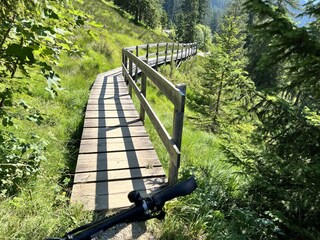 Sommer Holzgau