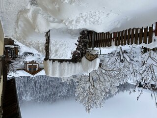 Winterbild vom Garten