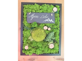 Moos-Bild Alpen Liebe