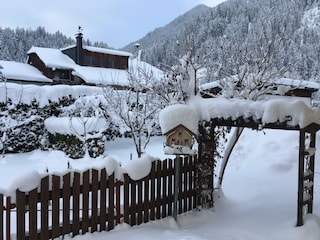 Winterbild vom Garten