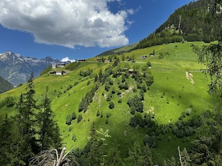 Sommer Ausblick auf Kaisers