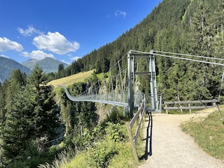 Sommer Holzgau Hängebrücke