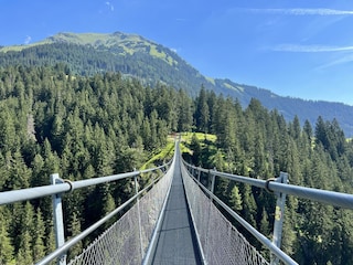 Sommer Holzgau Hängebrücke