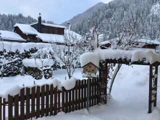 Winterbild vom Garten