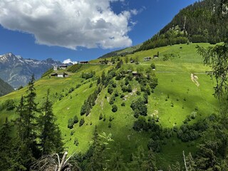 Sommer Ausblick auf Kaisers