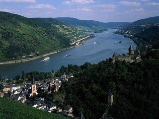 Bacharach vom Weinberg