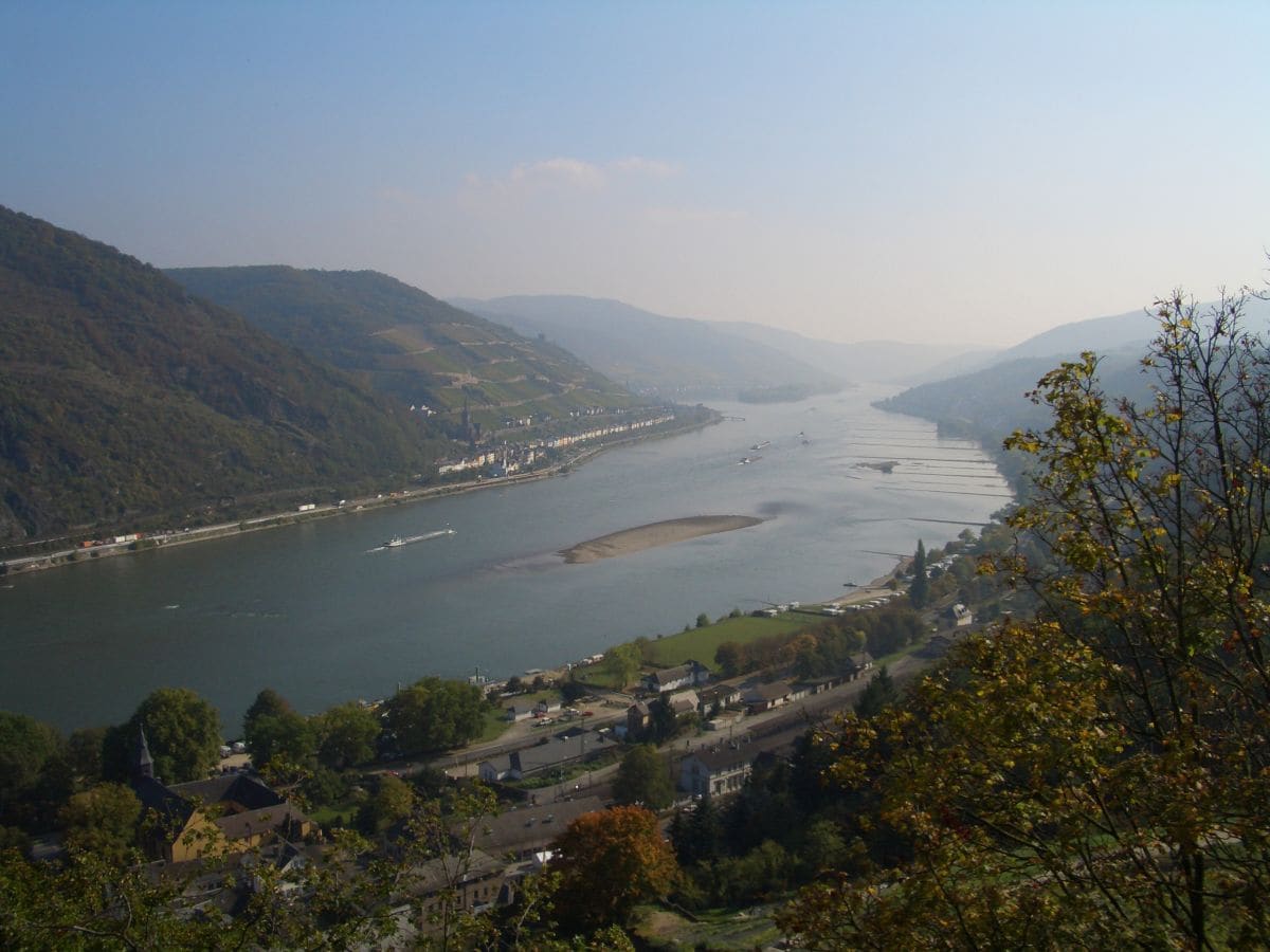 Blick vom Weinberg ins Rheintal