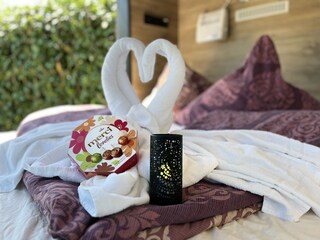 DaySpa Tinywürfel mit Beamer, Leinwand und Panormafenst