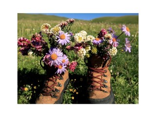 Wanderglück Bollendorf