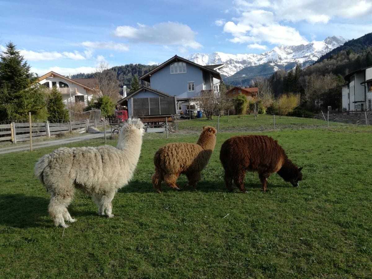 Unsere stillen Nachbarn