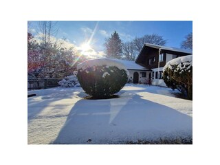 Blick in den Garten