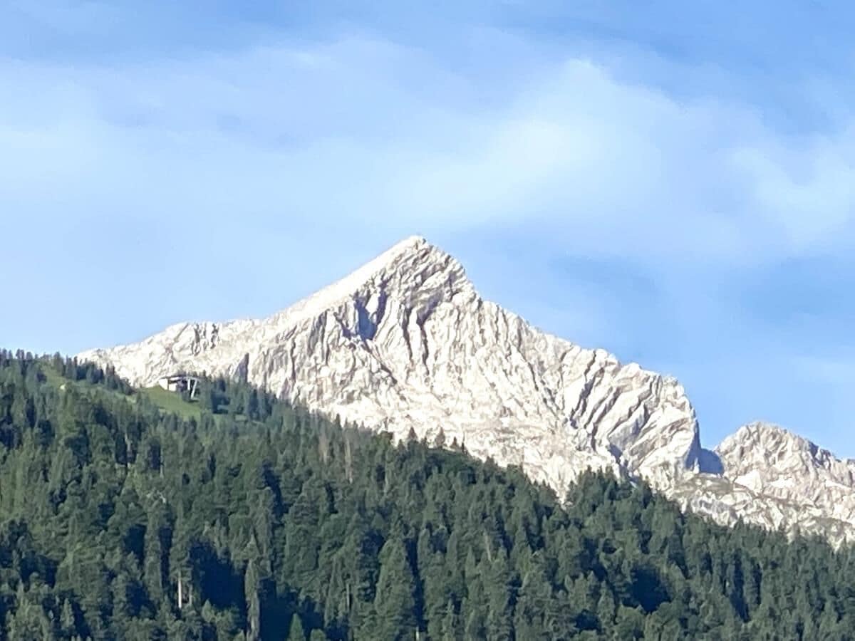 Blick im Sommer auf die Alpspitze