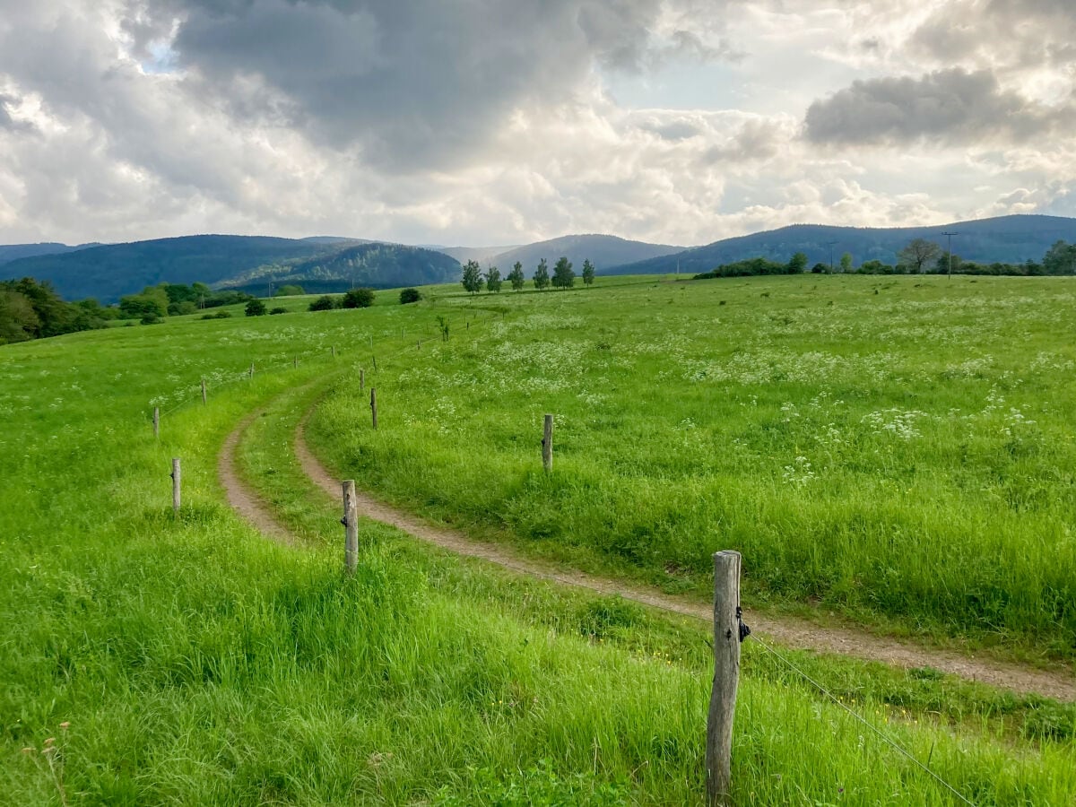 Wanderweg in der Umgebung