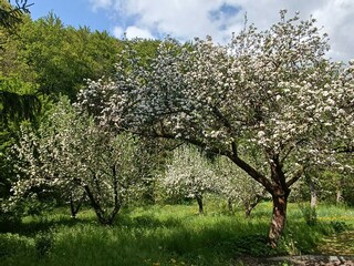 Apartamento de vacaciones Gräfenroda Grabación al aire libre 8