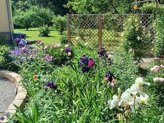 Vakantieappartement Gräfenroda Kenmerken 25