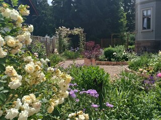 Blumenpracht im Garten