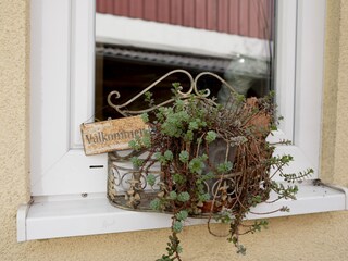 Ferienwohnung Salem Außenaufnahme 7