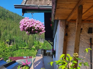 Ferienwohnung Baiersbronn Außenaufnahme 1