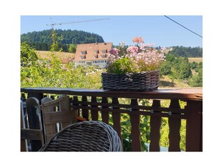 Ferienwohnung Baiersbronn Außenaufnahme 3