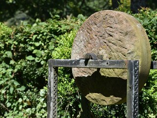 Impression Garten