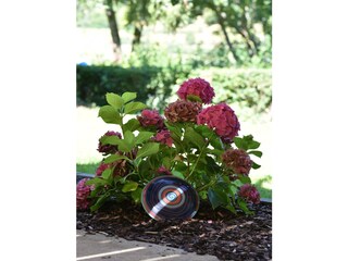 Impressionen Maargarten