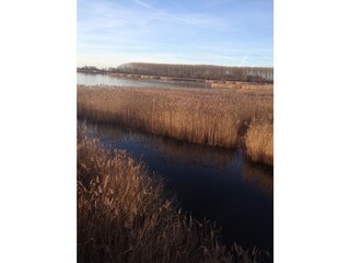 Holiday apartment Glowe Outdoor Recording 10