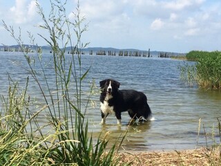 Holiday apartment Glowe Environment 27