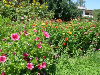 im Samengarten