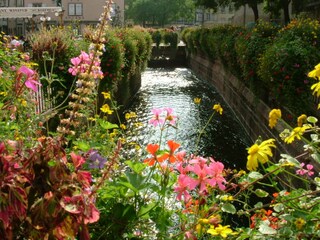 Colmar