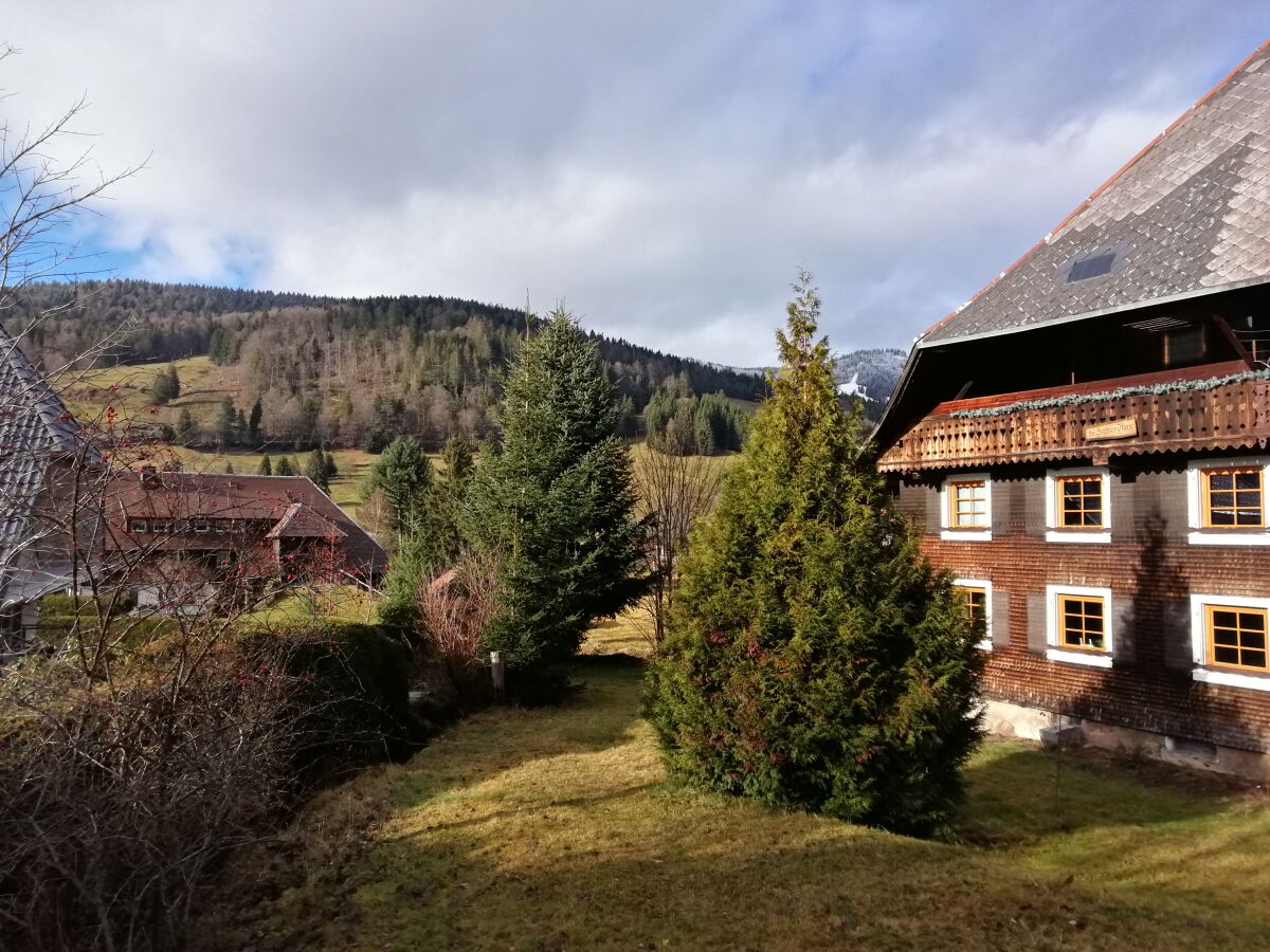 Blick vom Haus zum Spiesshorn