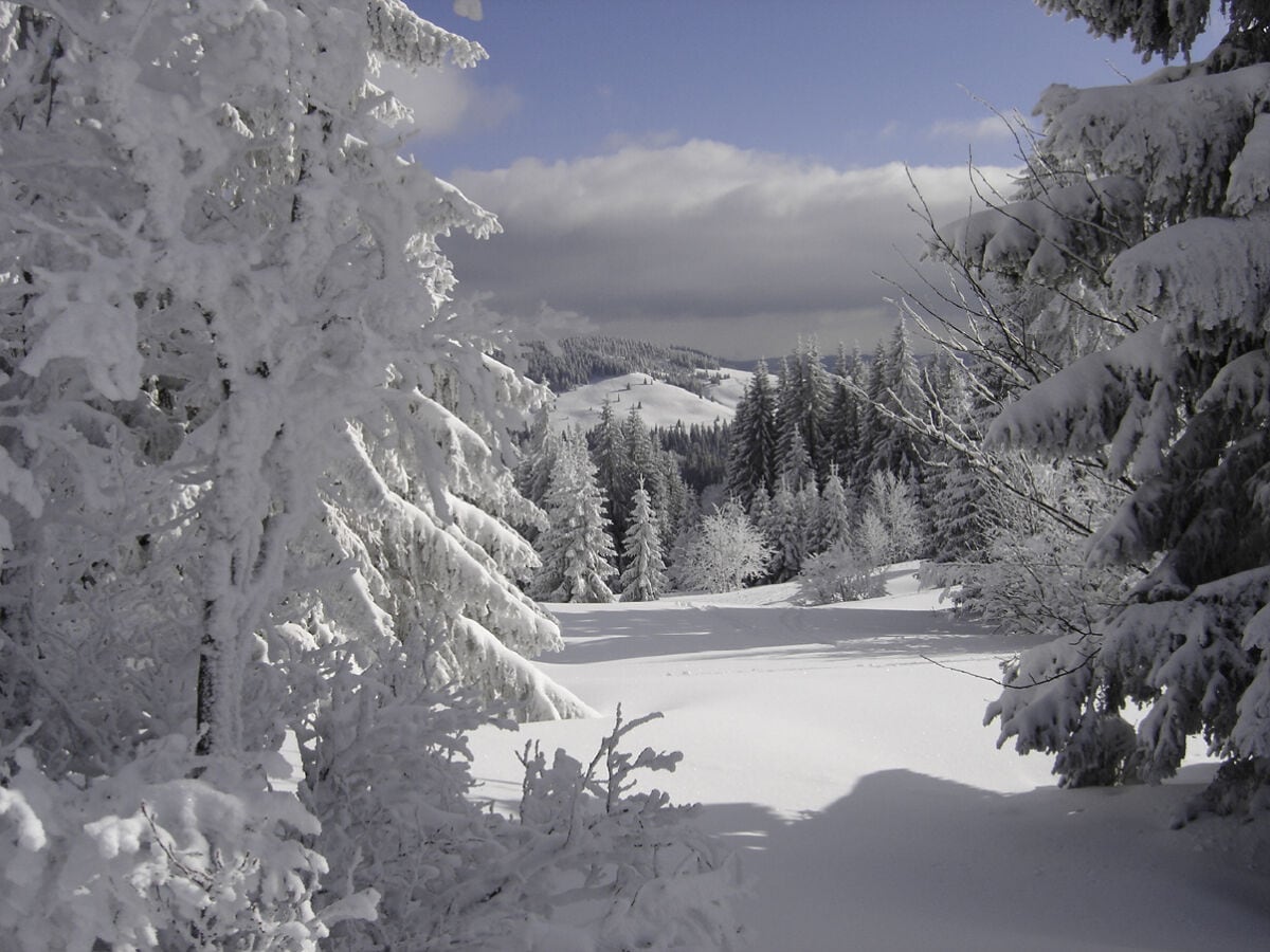 Herrliche Winterstimmung