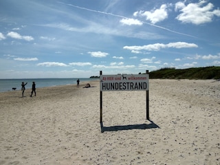 Hundestrand