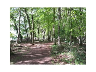 100m bis zum Wald