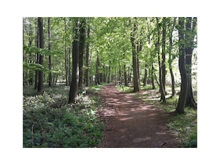 Ferienwohnung Kellenhusen Außenaufnahme 7