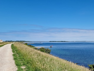 Nur hundert Meter vom Haus, das Grevelinger Meer