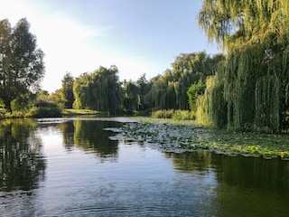 Vakantiehuis Brouwershaven Buitenaudio-opname 9