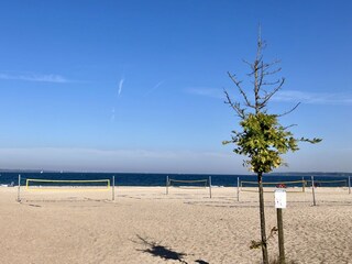 Eckernförder Südstrand (18 km)