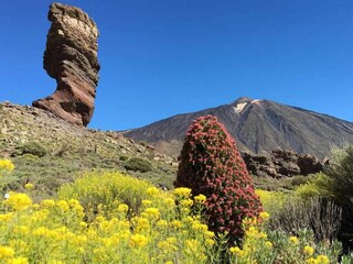 Appartamento Los Gigantes Ambiente 31